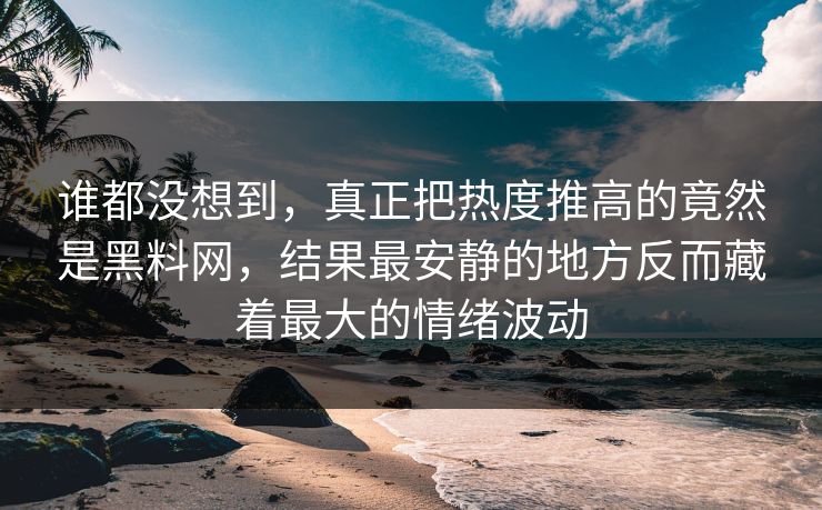 谁都没想到,真正把热度推高的竟然是黑料网,结果最安静的地方反而藏着最大的情绪波动 第1张 谁都没想到,真正把热度推高的竟然是黑料网,结果最安静的地方反而藏着最大的情绪波动 第1张