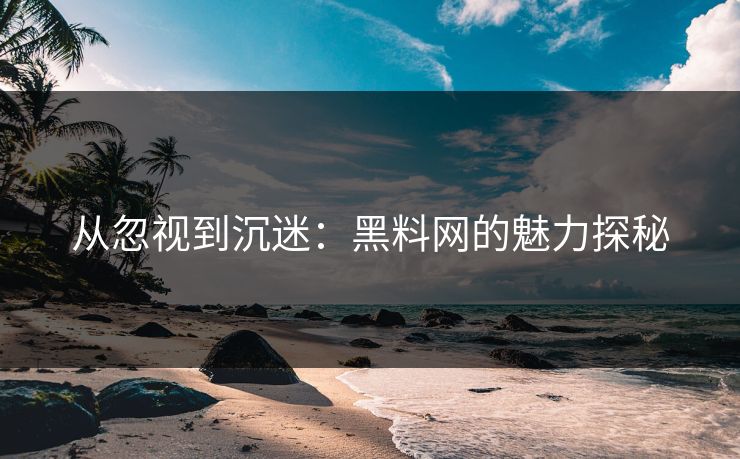 从忽视到沉迷：黑料网的魅力探秘  第1张