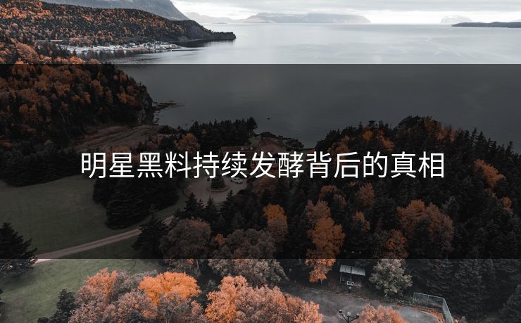 明星黑料持续发酵背后的真相  第1张