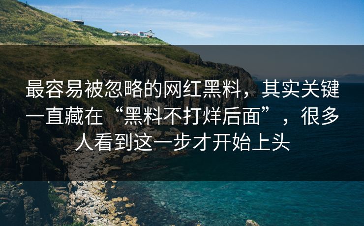 最容易被忽略的网红黑料,其实关键一直藏在“黑料不打烊后面”,很多人看到这一步才开始上头 第1张 最容易被忽略的网红黑料,其实关键一直藏在“黑料不打烊后面”,很多人看到这一步才开始上头 第1张